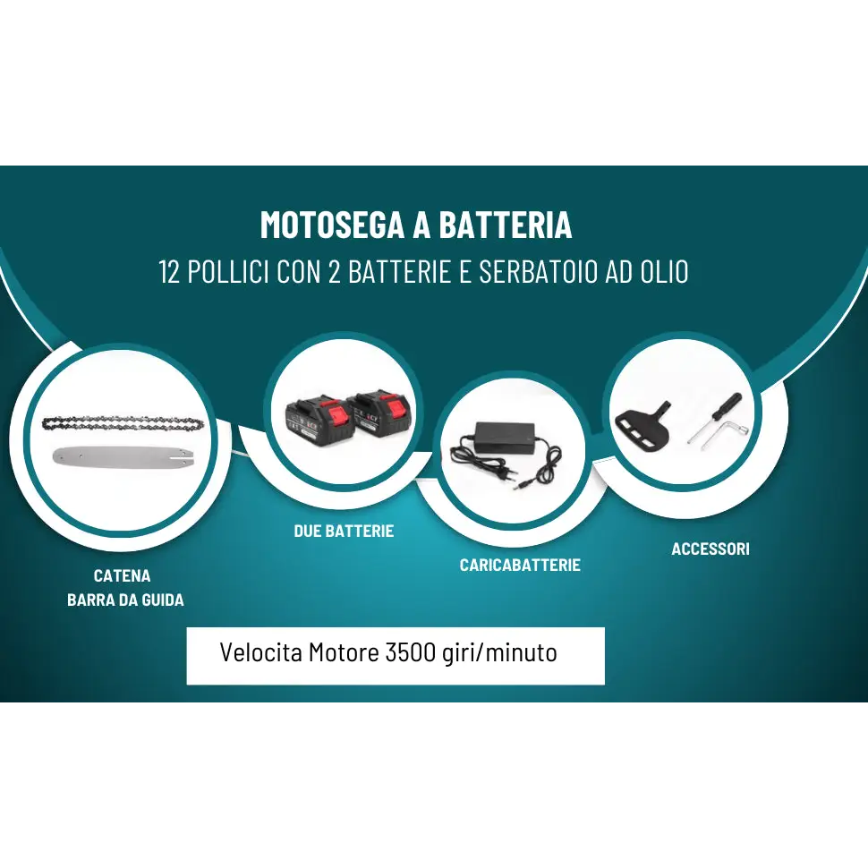 Motosega a Batteria per Potatura Sega Elettrica 12 Pollici con 2 Batterie - simple