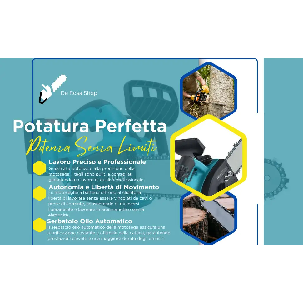 Motosega a Batteria per Potatura Sega Elettrica 12 Pollici con 2 Batterie - simple