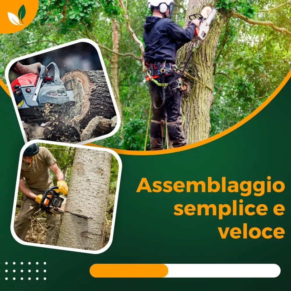 Motosega a Scoppio Professionale 52cc - simple