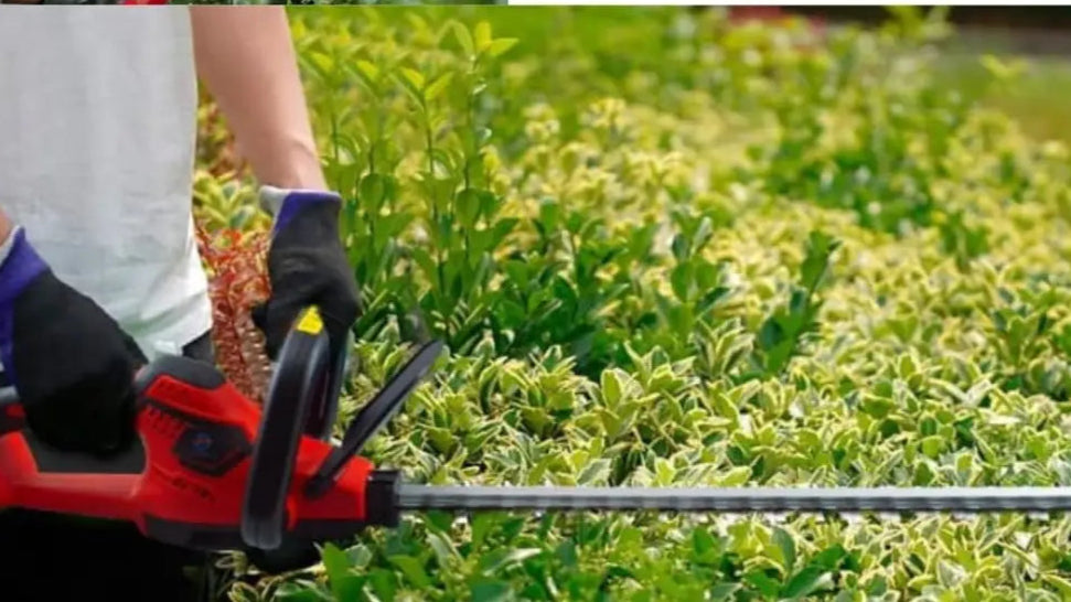 Tagliasiepi a Batteria Per Giardino Tosasiepi Elettrico Senza Fili Con Lama In Acciaio 52Cm - simple