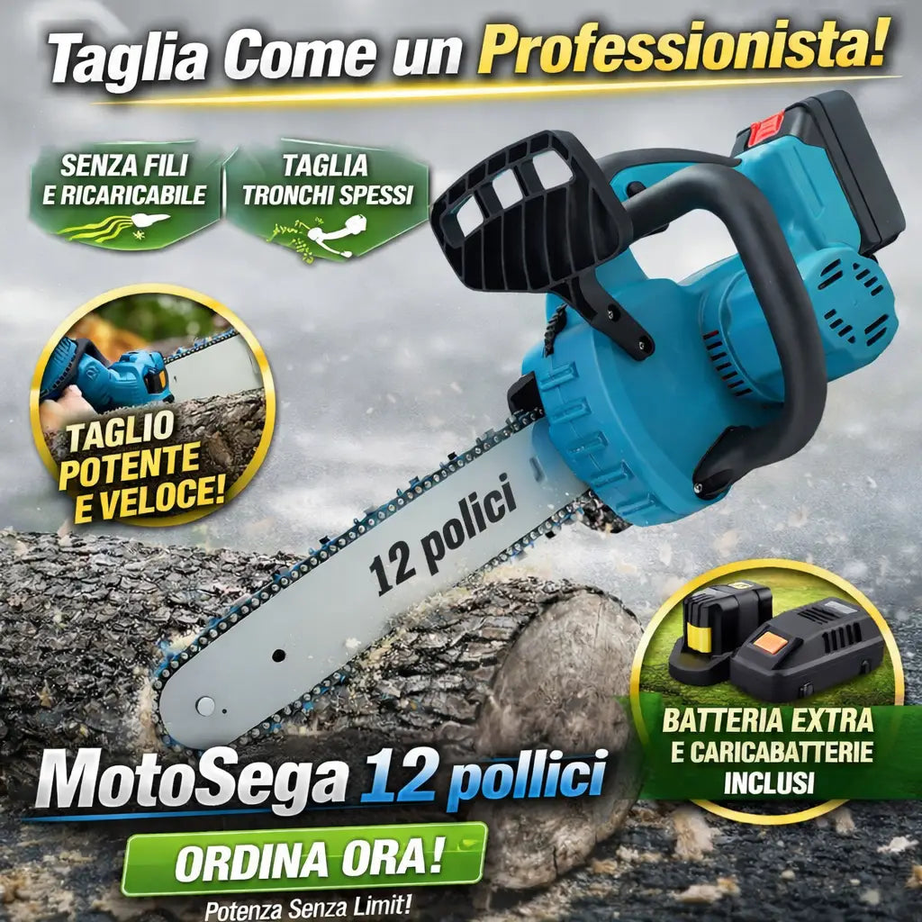 Motosega a Batteria per Potatura Sega Elettrica 12 Pollici con 2 Batterie