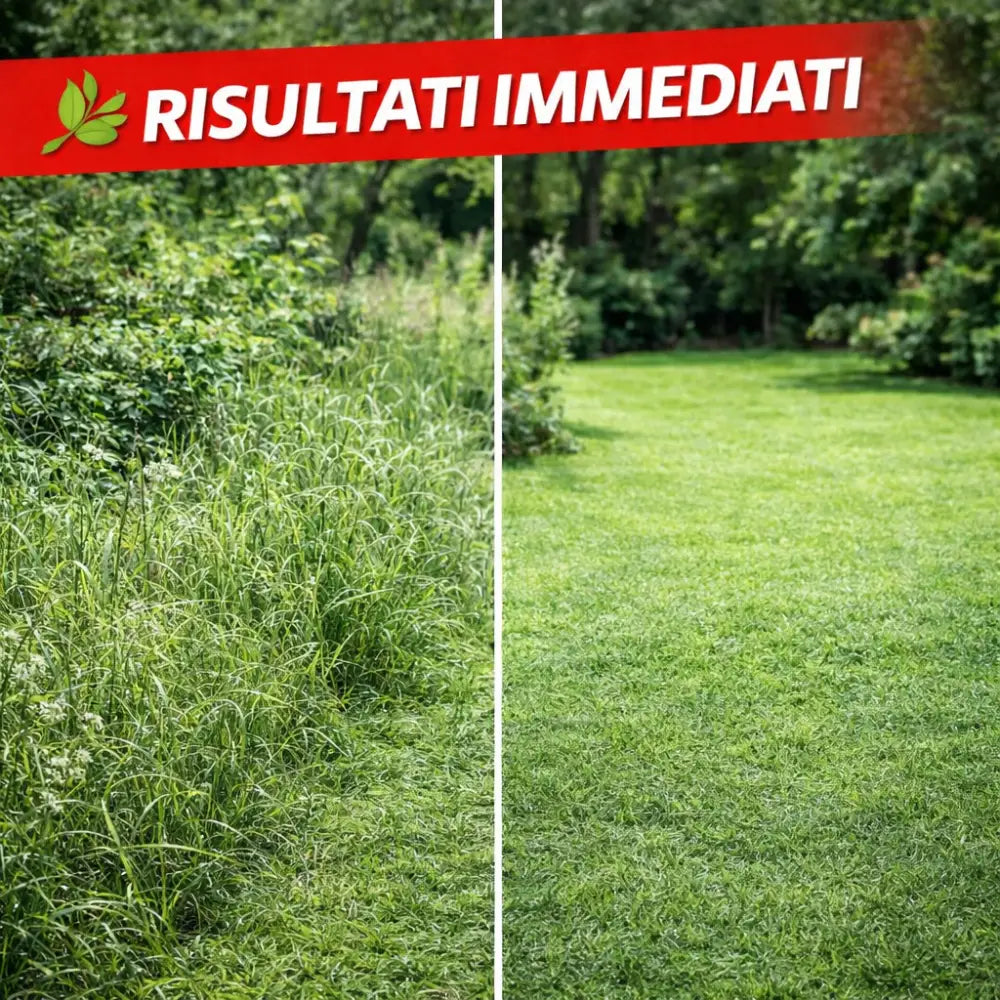 Decespugliatore a Scoppio con Ruote 63CC Potente Preciso e Senza Fatica. - Decespugliatore a Scoppio